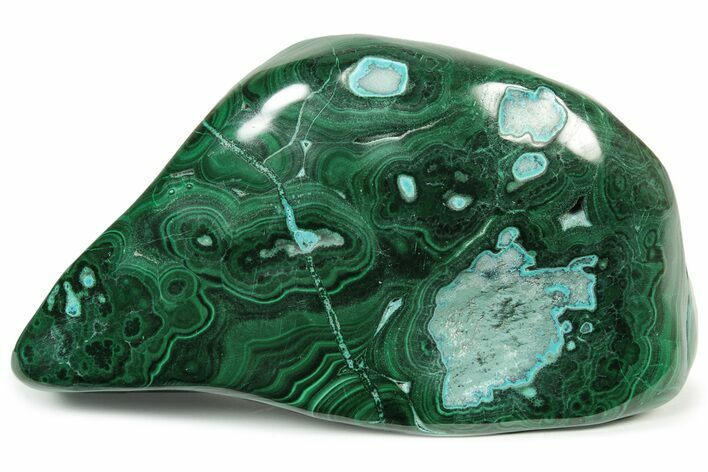 Vibrant, Polished Malachite with Chrysocolla - Congo #235143